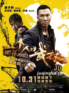 一个人的武林剧情介绍 一个人的武林