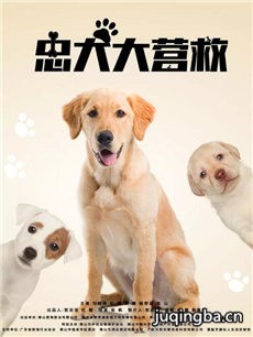 电影忠犬大营救剧情介绍 忠犬大营救