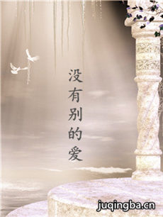 电影没有别的爱剧情介绍 没有别的爱