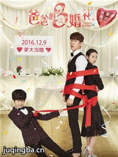 爸爸的3次婚礼剧情介绍 爸爸的3次婚礼