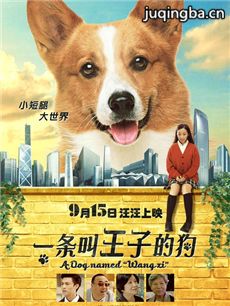 一条叫王子的狗剧情介绍 一条叫王子的狗