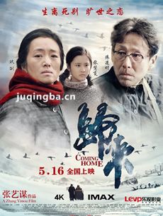 电影归来剧情介绍 归来