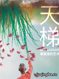 电影《天梯：蔡国强的艺术》剧情介绍 天梯：蔡国强的...