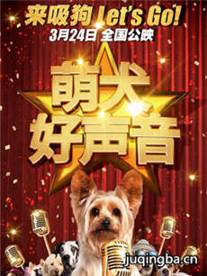电影萌犬好声音剧情介绍 萌犬好声音