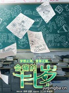 电影会痛的十七岁剧情介绍 会痛的十七岁