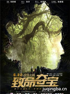 电影致命夺宝剧情介绍 致命夺宝