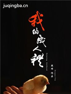电影我的成人礼剧情介绍 我的成人礼