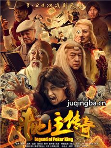 电影斗地主传奇之双王之王剧情介绍 斗地主传奇之双王...