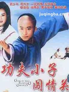功夫小子闯情关剧情介绍 功夫小子闯情关