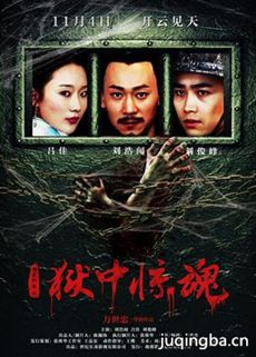 电影狱中惊魂剧情介绍 狱中惊魂