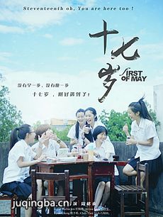 电影十七岁剧情介绍 十七岁