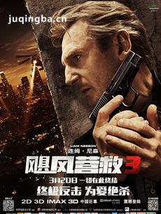 飓风营救3剧情介绍 飓风营救3