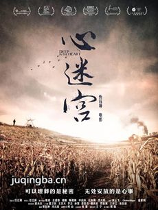 电影心迷宫剧情介绍 心迷宫