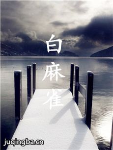 电影白麻雀剧情介绍 白麻雀