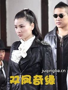 儿女传奇双凤奇缘剧情介绍 儿女传奇双凤奇缘