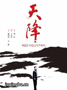 电影天降剧情介绍 天降
