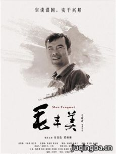 电影毛丰美剧情介绍 毛丰美