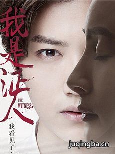 我是证人剧情介绍 我是证人