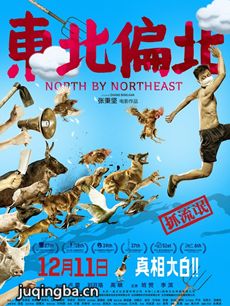 电影东北偏北剧情介绍 东北偏北