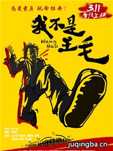 我不是王毛剧情介绍 我不是王毛