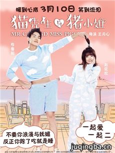 猫先生与猪小姐剧情介绍 猫先生与猪小姐
