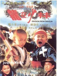 电影龙在少林剧情介绍 龙在少林