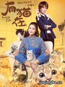 有猫在 网剧有猫在剧情介绍(1-12全集)
