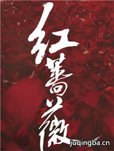 红蔷薇 红蔷薇剧情介绍(1-48全集)