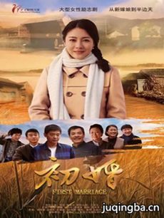 初婚 电视剧初婚剧情介绍(1-59全集)