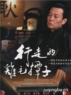 行走的鸡毛掸子 行走的鸡毛掸子剧情介绍(1-29全集)