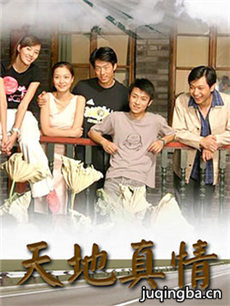 天地真情 天地真情剧情介绍(1-252全集)