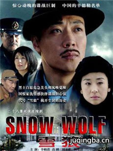 雪狼 电视剧雪狼剧情介绍(1-22全集)