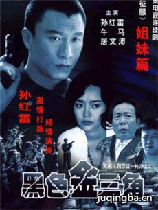 黑色金三角 黑色金三角剧情介绍(1-18全集)