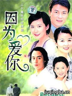 因为爱你 因为爱你剧情介绍(1-20全集)