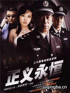 正义永恒 正义永恒剧情介绍(1-20全集)