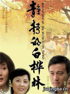 静静的白桦林 静静的白桦林剧情介绍(1-27全集)