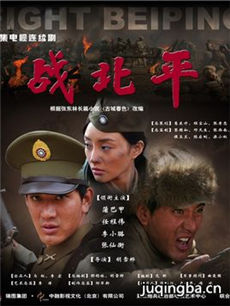 战北平 战北平剧情介绍(1-24全集)
