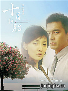 十月怀胎 十月怀胎剧情介绍(1-24全集)