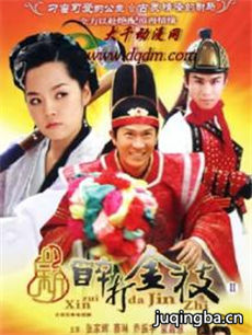 新醉打金枝 新醉打金枝剧情介绍(1-34全集)