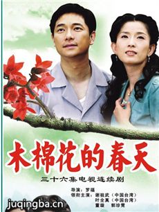 木棉花的春天 木棉花的春天剧情介绍(1-36全集)