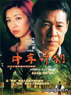 中年计划 中年计划剧情介绍(1-22全集)