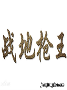 战地枪王 战地枪王剧情介绍(1-23全集)