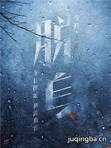 脱身 脱身剧情介绍(1-46全集)