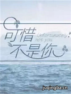 可惜不是你 电视剧《可惜不是你》剧情介绍(1-24全集...