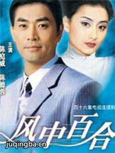 风中百合 风中百合剧情介绍(1-46全集)