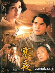 寒夜 电视剧寒夜剧情介绍(1-36全集)