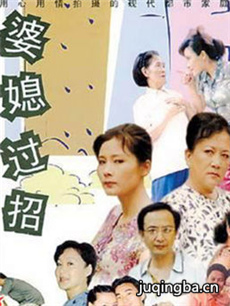 婆媳过招 婆媳过招剧情介绍(1-26全集)