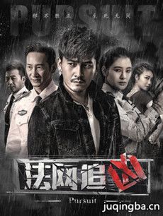 法网追凶 法网追凶剧情介绍(1-12全集)