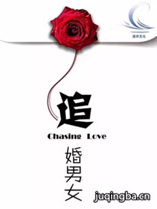 追婚男女 追婚男女剧情介绍(1-40全集)