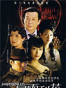 暴雨梨花 暴雨梨花剧情介绍(1-40全集)